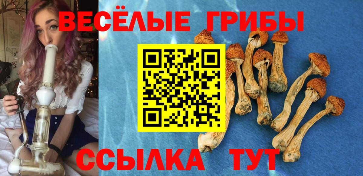 Кинешма  Галлюциногенные грибы Magic Shrooms  Вход с VPN 