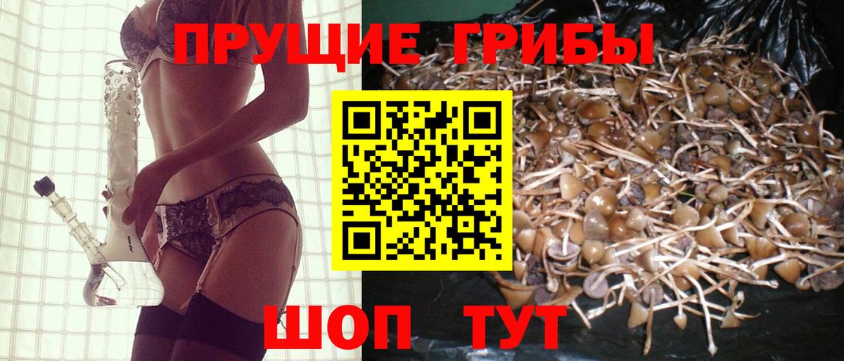 Псилоцибиновые грибы прущие грибы Кинешма